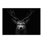 Limited Alpine Animal Posters – 70×100 cm featuring a striking black and white portrait of a stag.