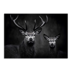 Limited Alpine Animal Posters – 70×100 cm featuring a majestic stag and doe in a dramatic black and white setting.