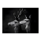 Limited Alpine Animal Posters – 70×100 cm featuring a striking black-and-white portrait of two deer heads.