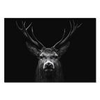 Majesty of a deer - Alu-Dibond wall art featuring a majestic stag with detailed antlers on a dark background.