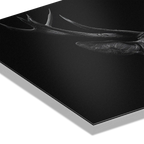 Majesty of a deer - Alu-Dibond wall art showcasing the intricate antlers and texture against a dark background.