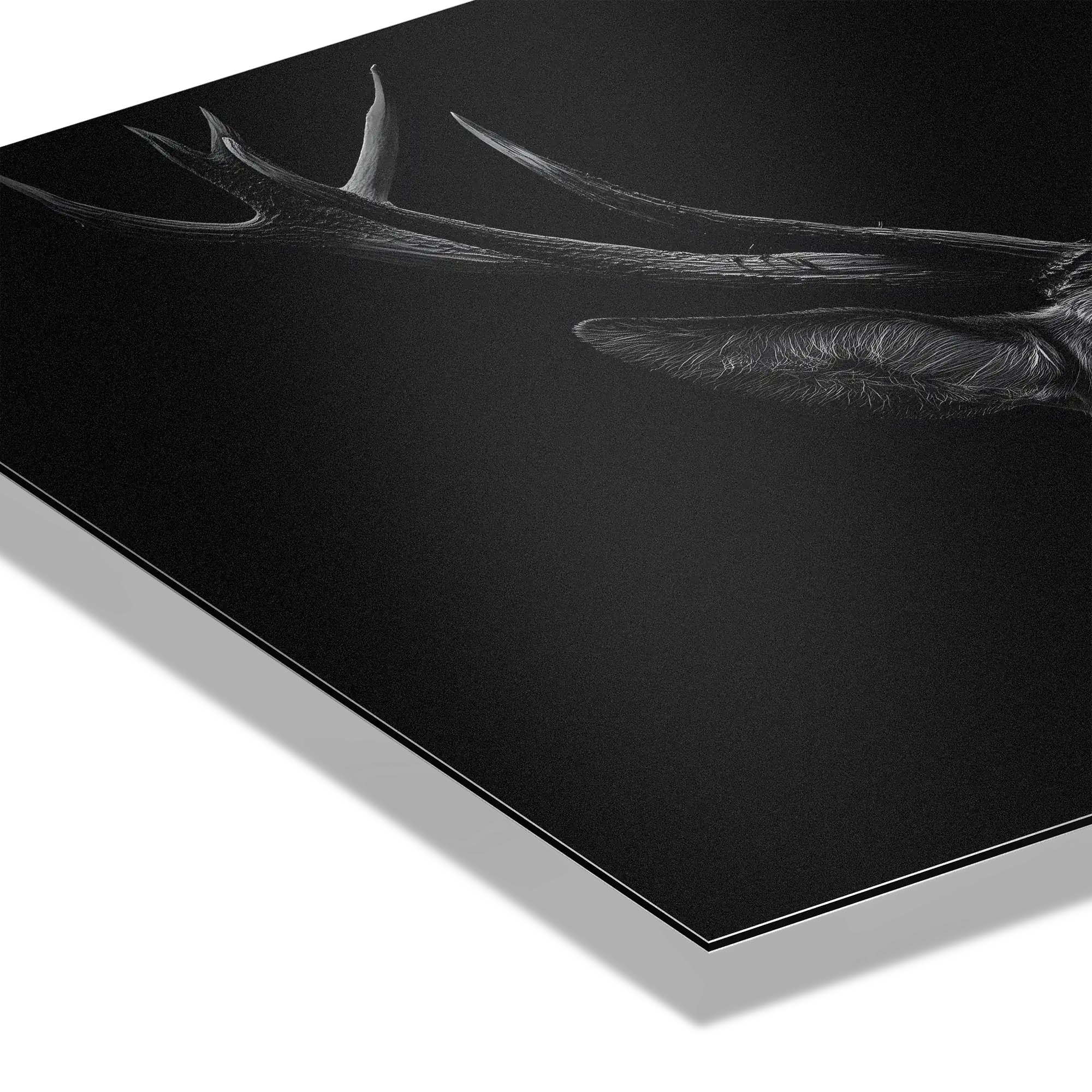 Majesty of a deer - Alu-Dibond wall art showcasing the intricate antlers and texture against a dark background.