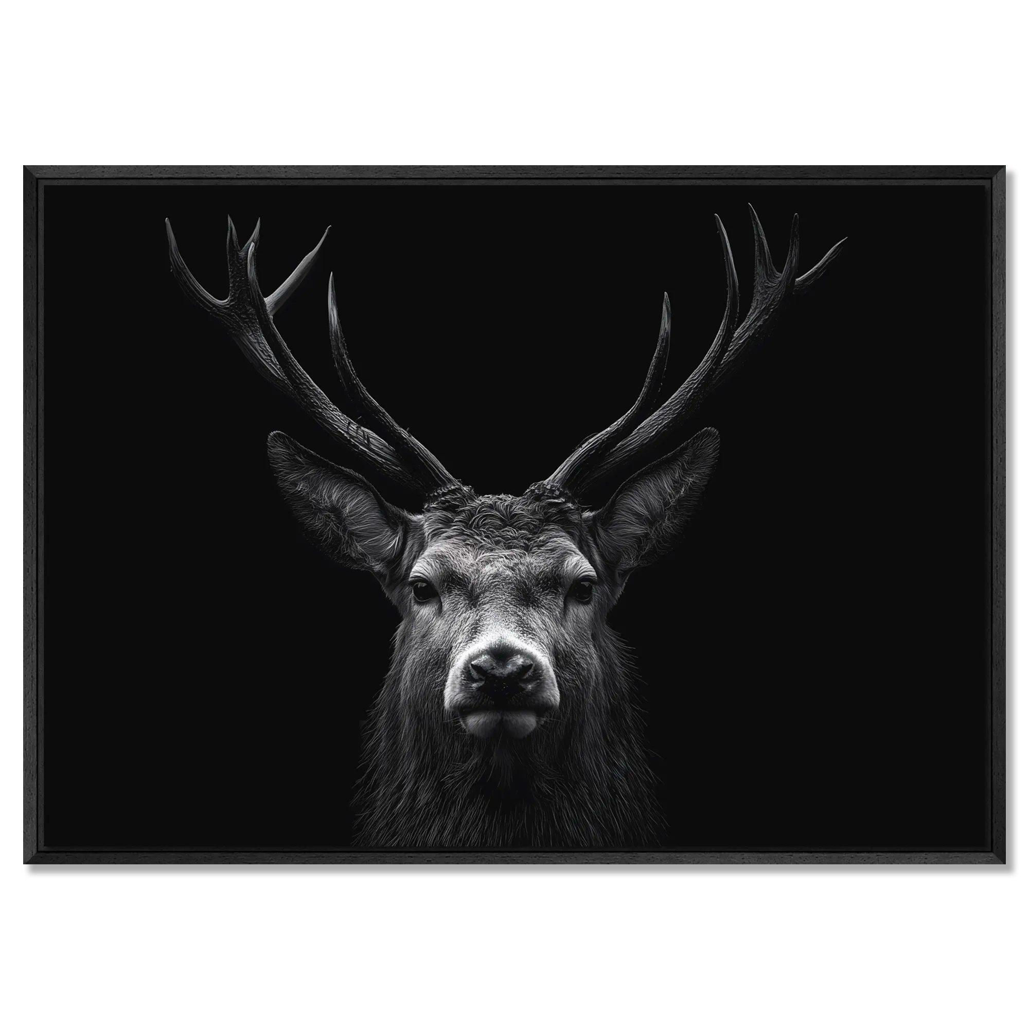 Majesty of a deer - Alu-Dibond wall art featuring a majestic stag with antlers against a dark backdrop.
