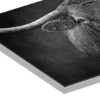 Presence of a Cow artwork detail showcasing the serene gaze and textures of Swiss cow's profile.
