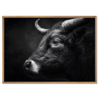 Profile of a bull - Alu-Dibond wall art showcasing the powerful profile of a mountain bull in deep contrast.