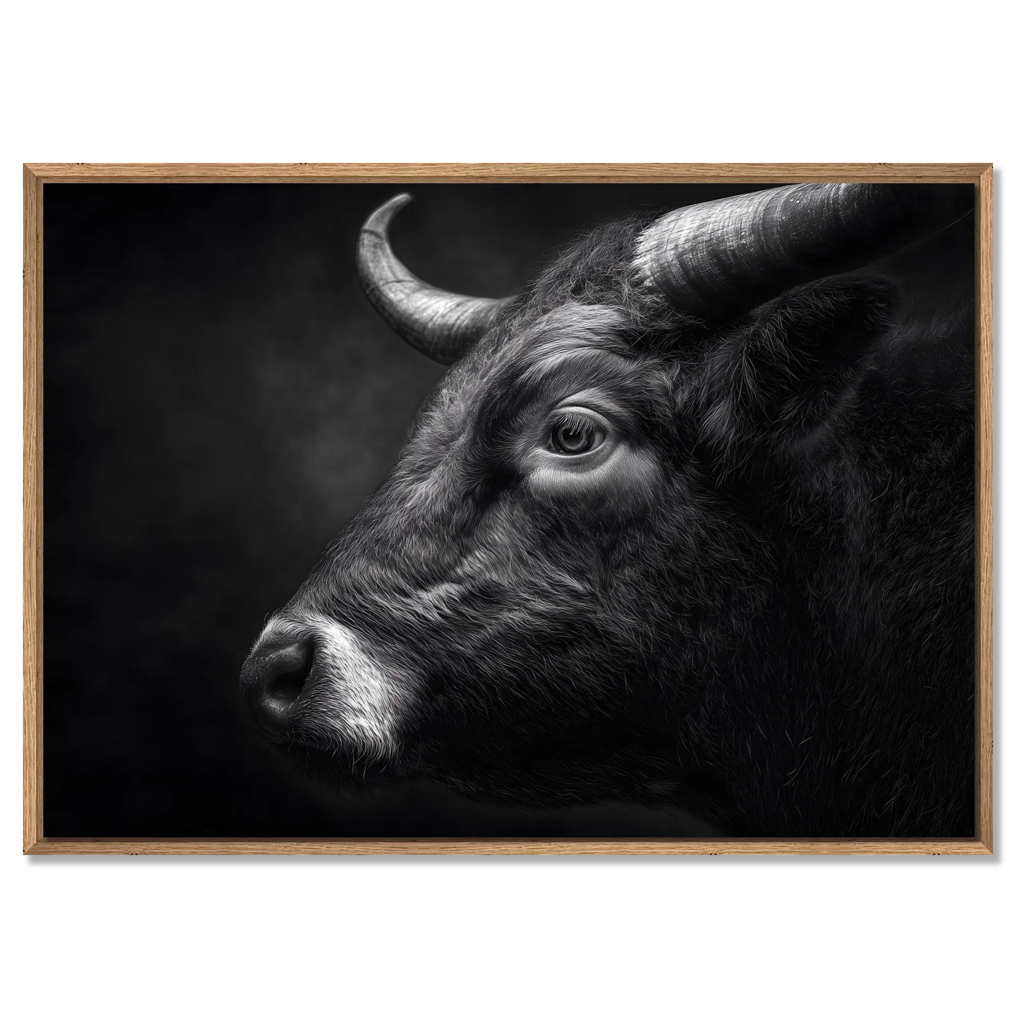 Profile of a bull - Alu-Dibond wall art showcasing the powerful profile of a mountain bull in deep contrast.