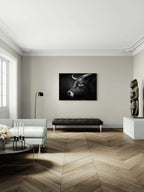 Profile of a bull - Alu-Dibond wall art displayed in a modern living room setting.