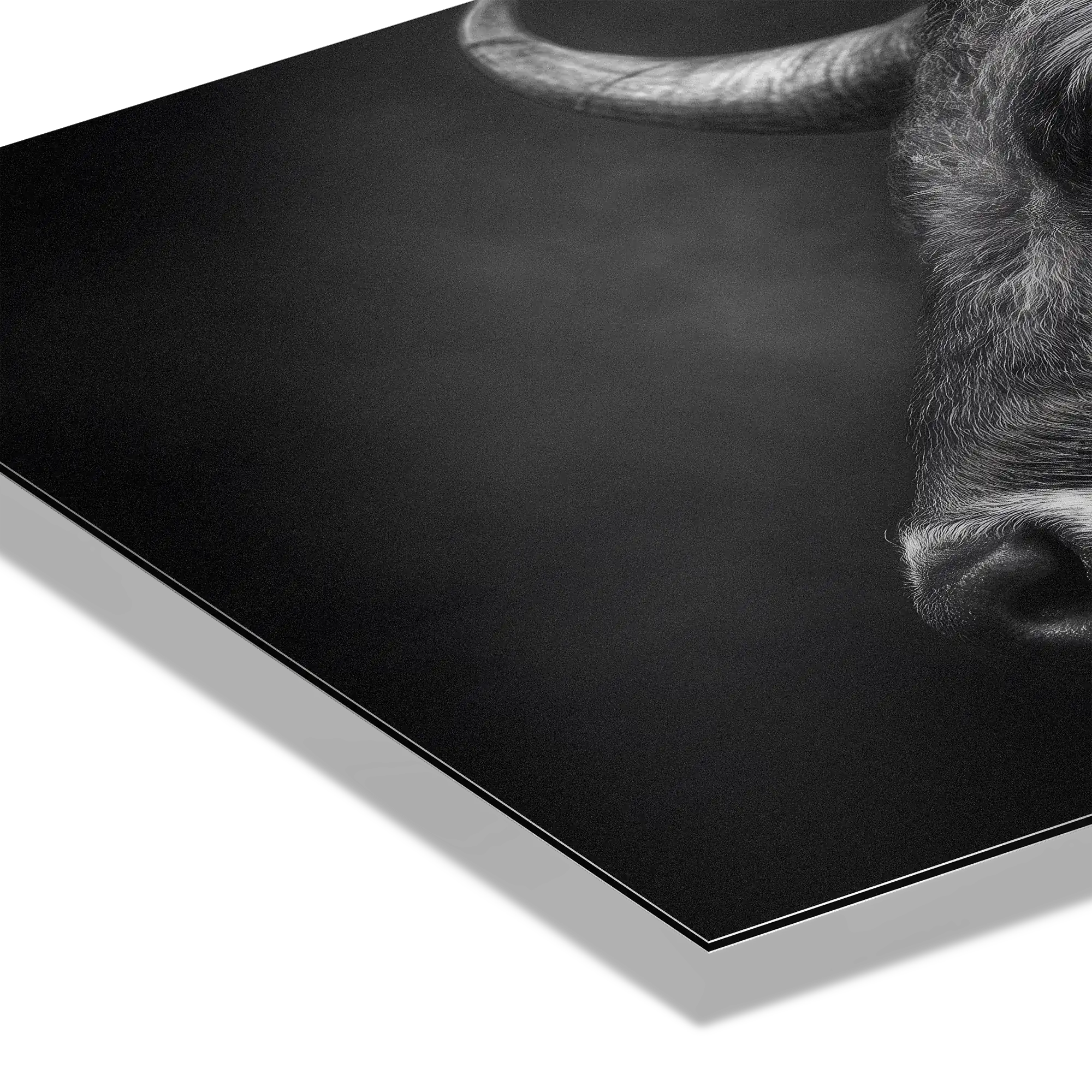 Profile of a bull - Alu-Dibond wall art showcasing the intense features and textures of a mountain bull.