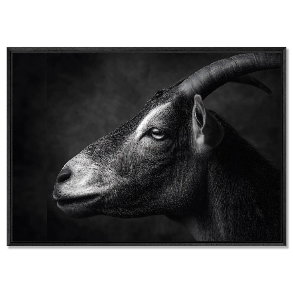 Profile of a goat - Alu-Dibond wall art showcasing a calm Alpine goat's profile in fine detail.