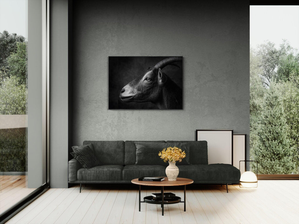 Profile of a goat - Alu-Dibond wall art displayed above a modern couch in a stylish living room.