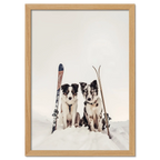 Ski Dogs - Poster featuring two dogs with skis in snow, perfect wall art for ski and dog lovers.