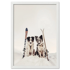 Ski Dogs - Poster featuring two dogs in snow, vintage skis, perfect wall art for dog lovers.