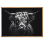 Strength of a highland cow - Alu-Dibond wall art showcasing the beauty and resilience of a Highland cow in black and white.