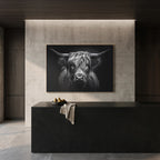 Strength of a highland cow