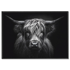 Strength of a highland cow - Alu-Dibond wall art featuring a Highland cow with detailed fur and intense gaze.