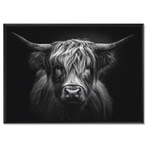 Strength of a highland cow - Alu-Dibond wall art featuring a Highland cow with detailed fur and intense gaze.