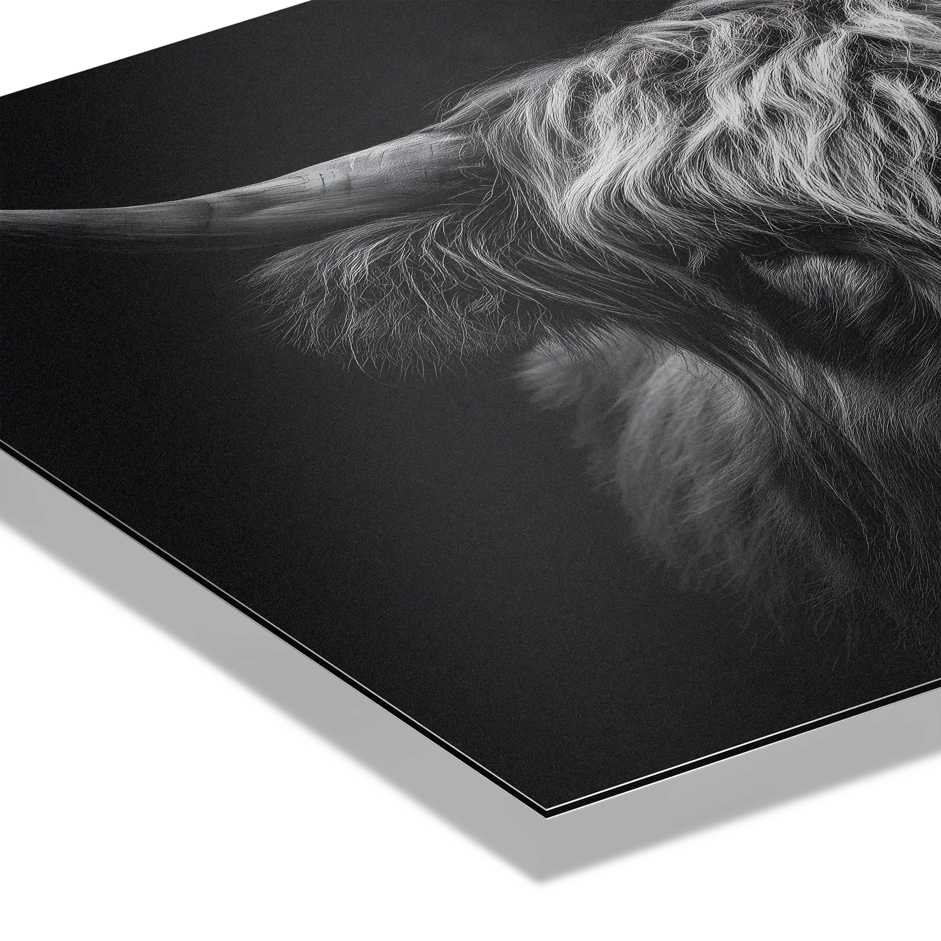 Strength of a highland cow - Alu-Dibond wall art close-up showing the texture and detail of the Highland cow's fur.