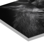Tenderness of deer - Alu-Dibond wall art showcasing fine detail and texture in a close-up of a deer.