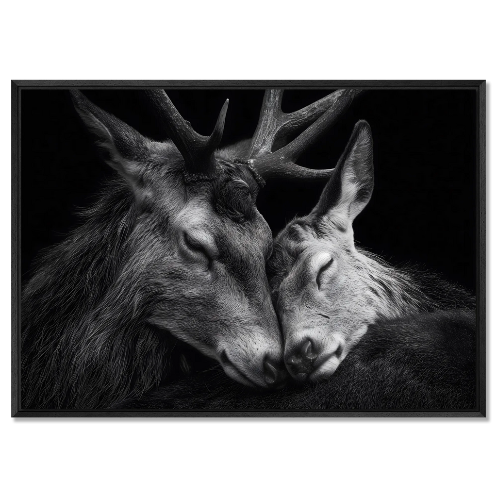 Tenderness of deer - Alu-Dibond wall art featuring two deer in an intimate moment of connection.