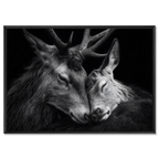Tenderness of deer - Alu-Dibond wall art featuring two deer in an intimate moment of connection.