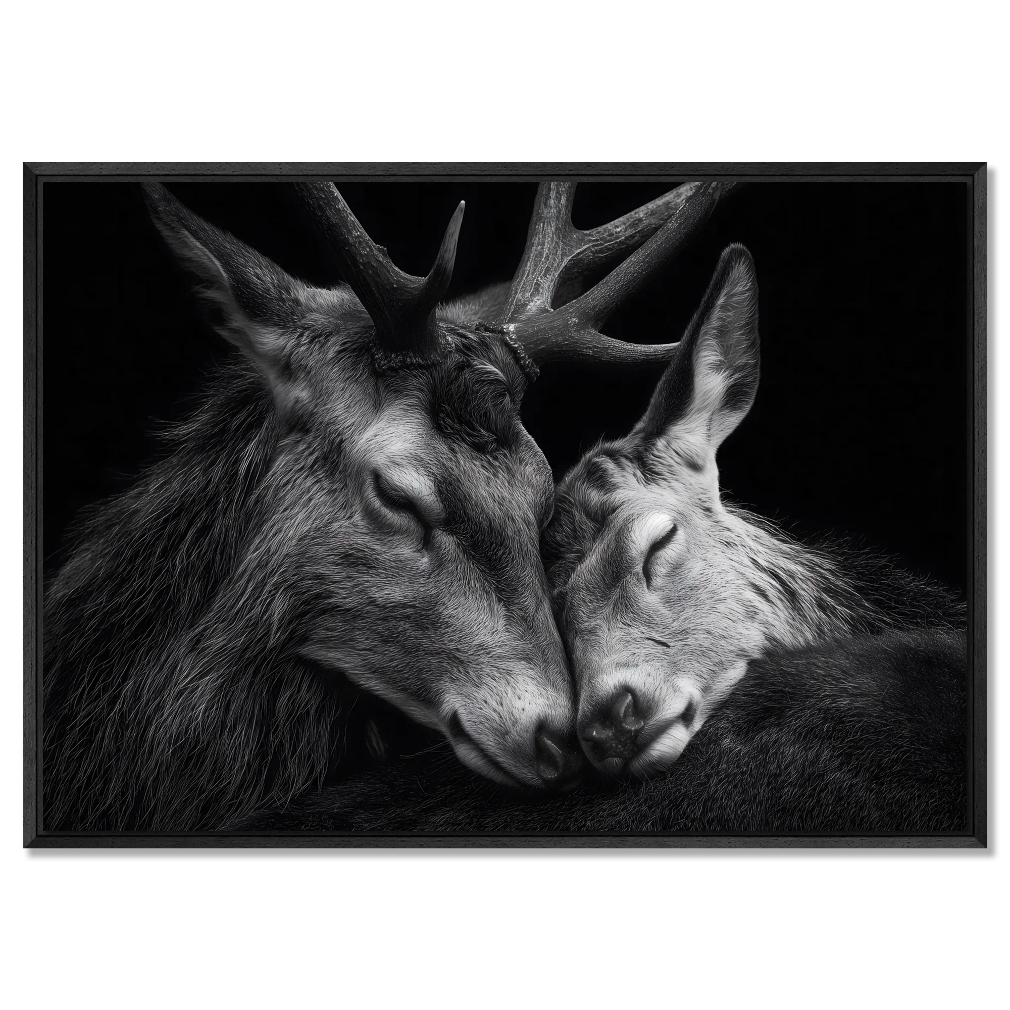 Tenderness of deer - Alu-Dibond wall art featuring two deer in an intimate moment of connection.