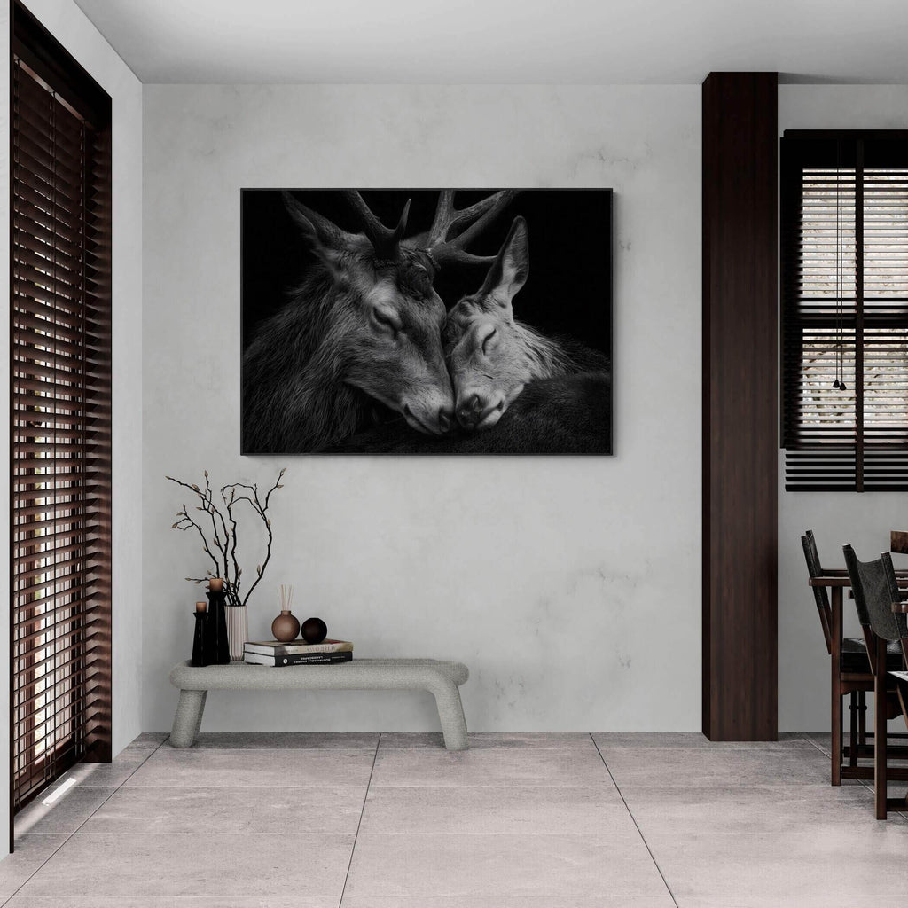 Tenderness of deer - Alu-Dibond wall art in a modern interior, showcasing an intimate moment between two deer.