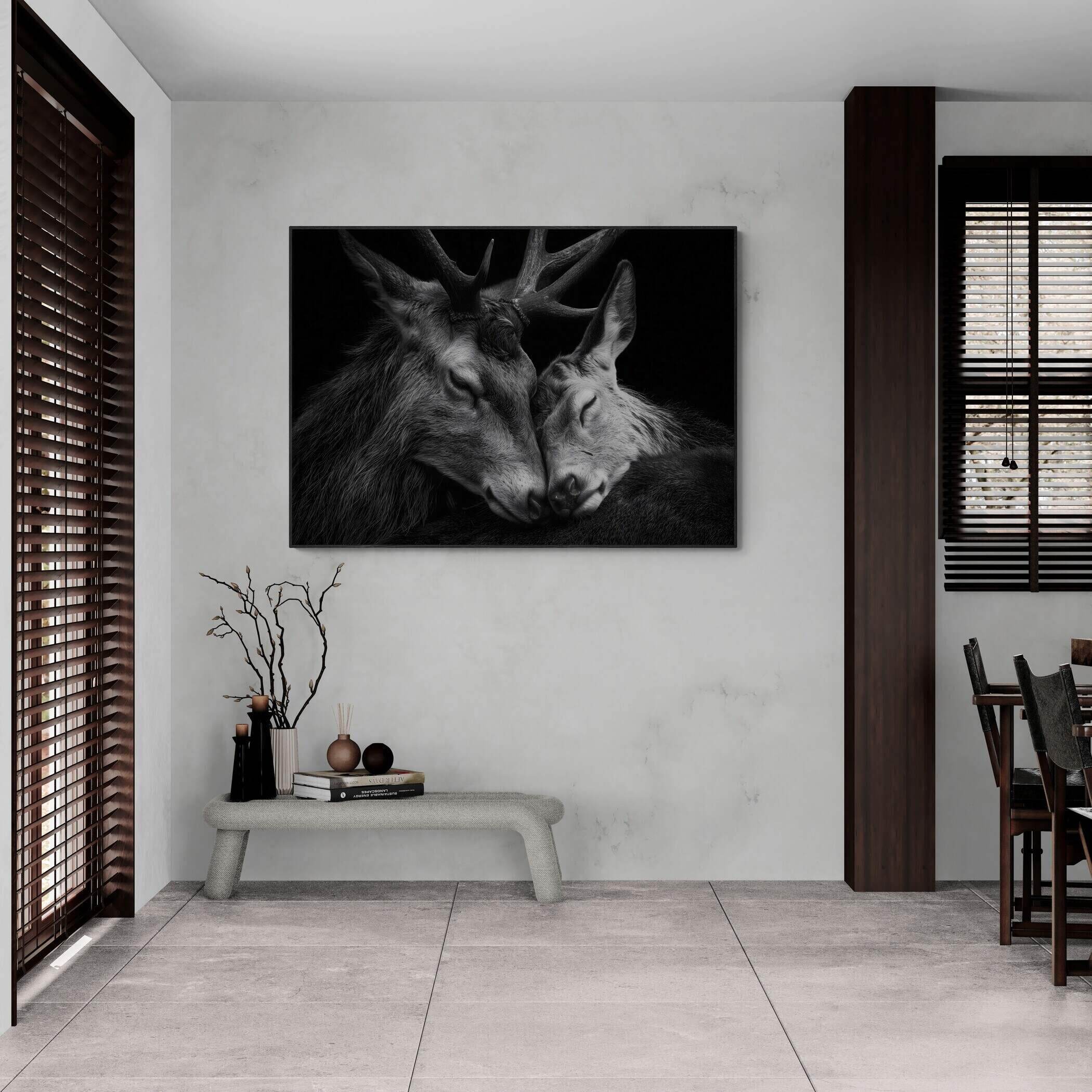 Tenderness of deer - Alu-Dibond wall art in a modern interior, showcasing an intimate moment between two deer.