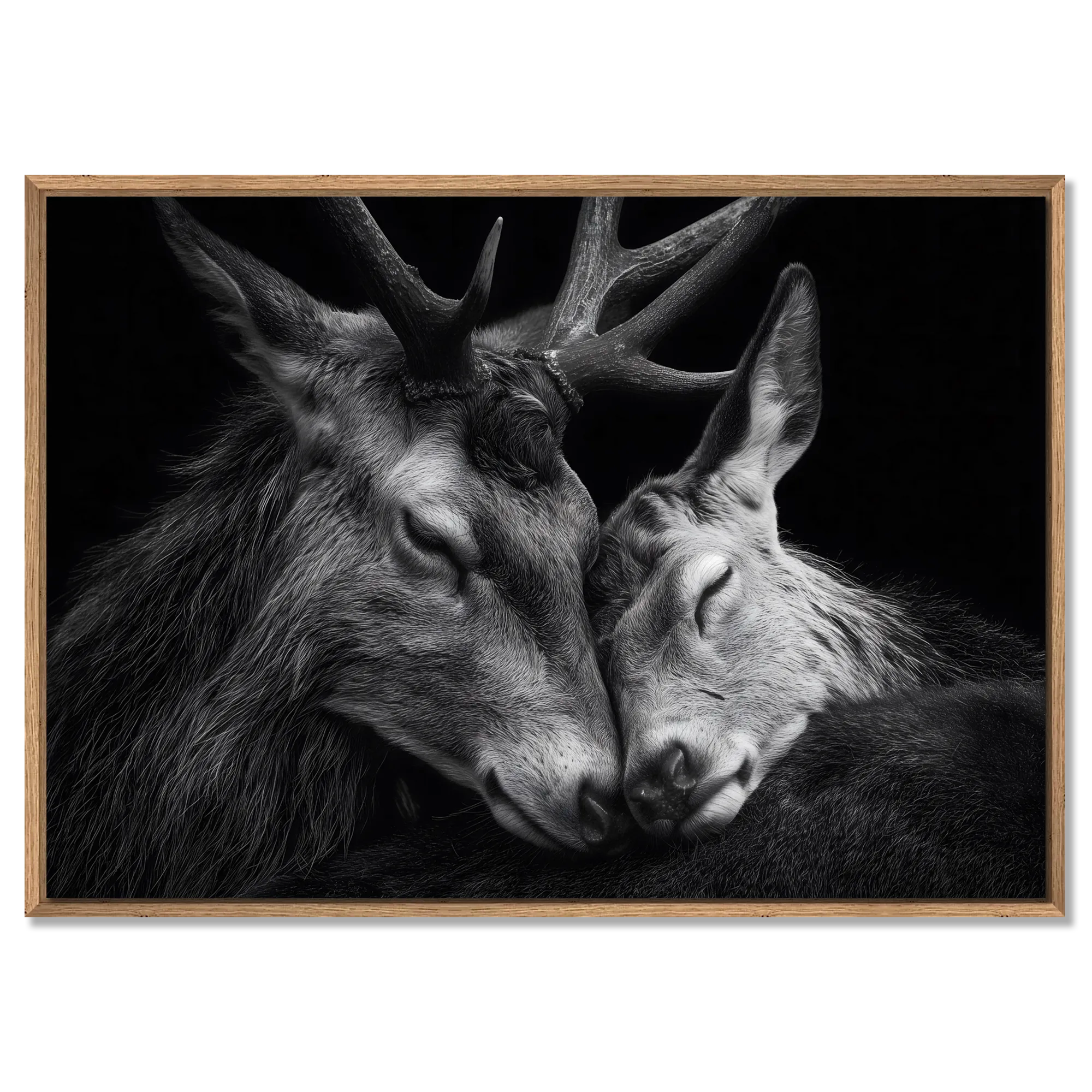 Tenderness of deer - Alu-Dibond wall art showcasing two deer in a tender moment of connection and trust.