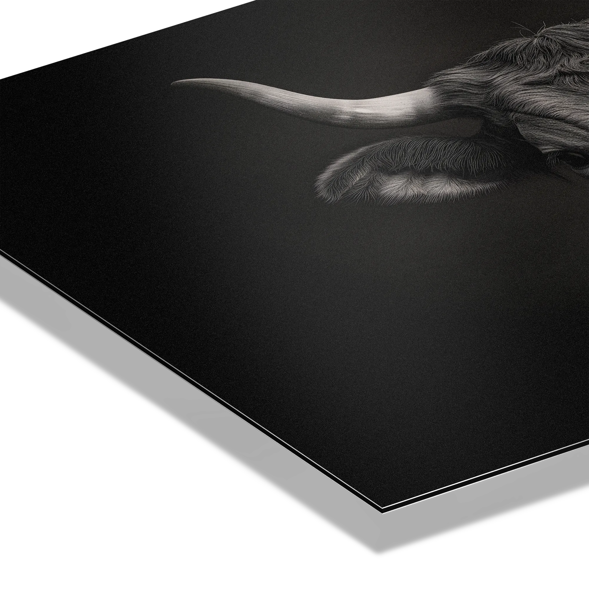 The charisma of a cow - Alu-Dibond wall art showcasing the calm beauty of a mountain cow.