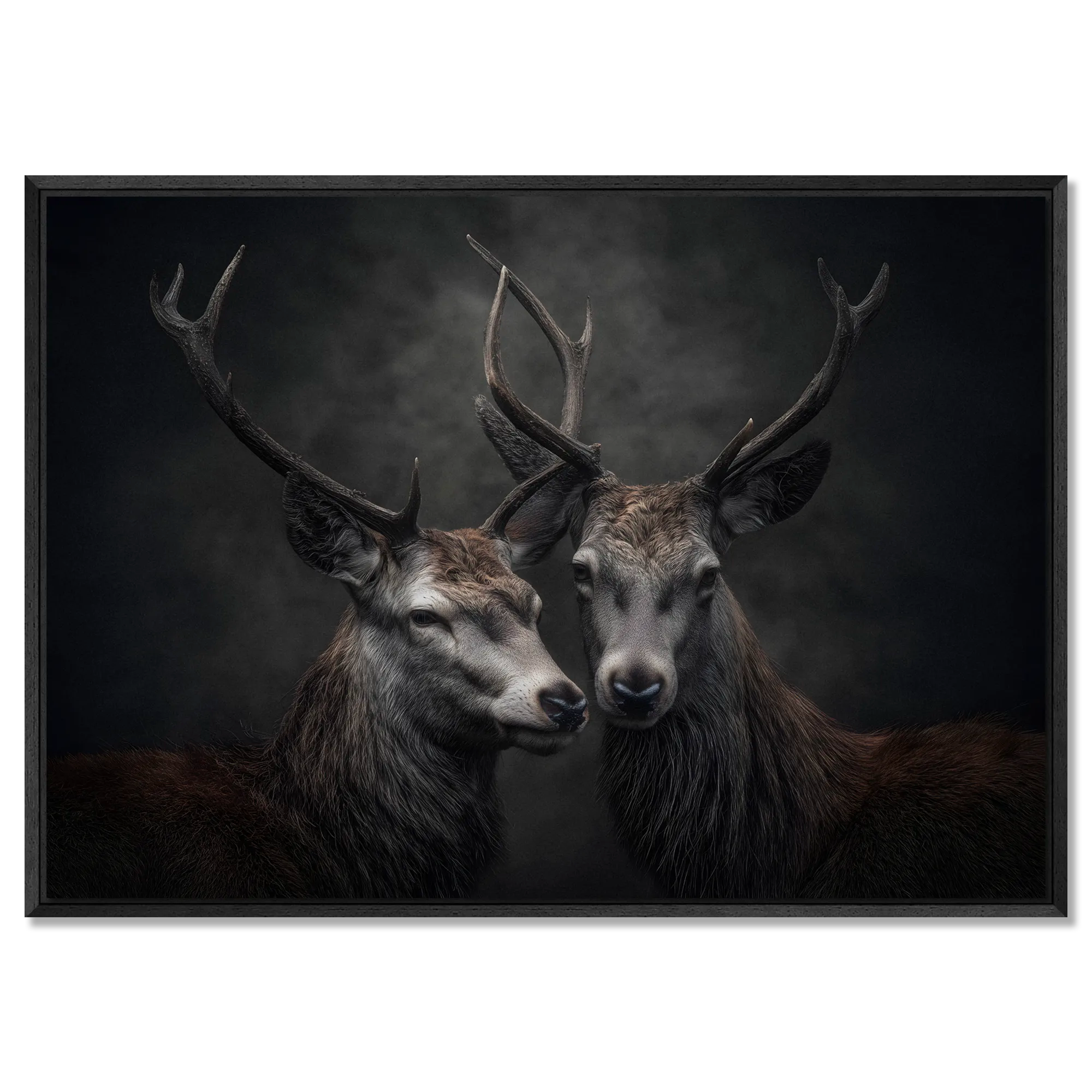 Unity of stags - Alu-Dibond wall art featuring two alpine stags side by side with intricate details.