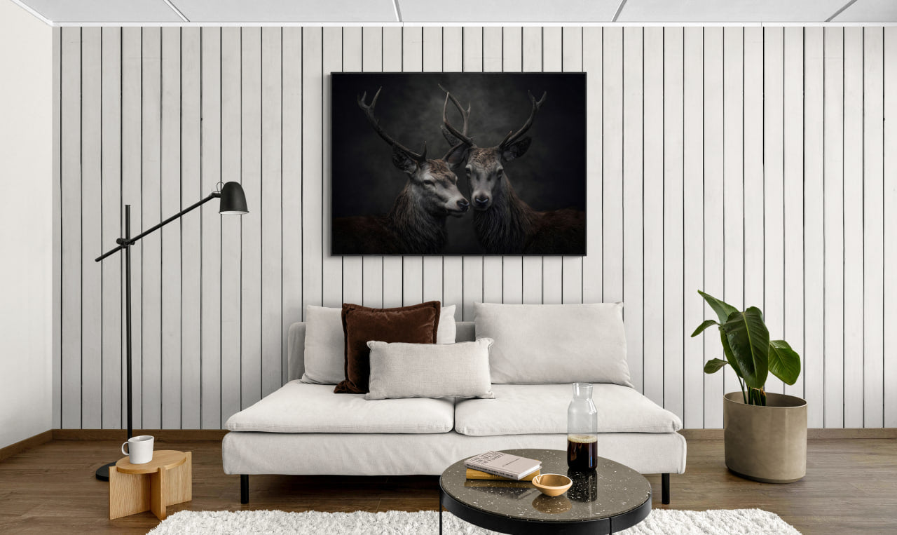 Unity of stags - Alu-Dibond wall art displayed in a cozy living room setting with modern furniture.