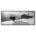 Walliser Schwarzhalsziege und Chalet
