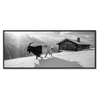 Walliser Schwarzhalsziege und Chalet