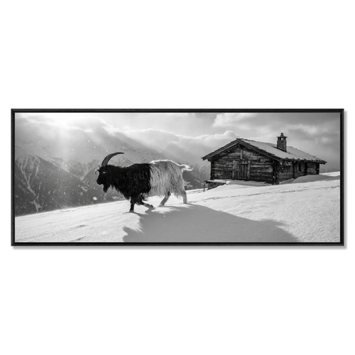 Valais Blackneck Goat and Chalet, large alpine wall art XXL capturing snowy landscape and traditional chalet.