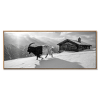 Walliser Schwarzhalsziege und Chalet