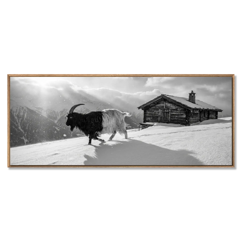 Valais Blackneck Goat and Chalet walking on snowy alpine slope, large alpine wall art XXL.
