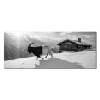 Walliser Schwarzhalsziege und Chalet