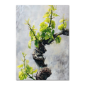 Vine Awakening, Alpine Wall - Poster featuring a twisted alpine vine with fresh green leaves on a textured stone wall.