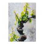Vine Awakening, Alpine Wall - Poster featuring a twisted alpine vine with fresh green leaves on a textured stone wall.