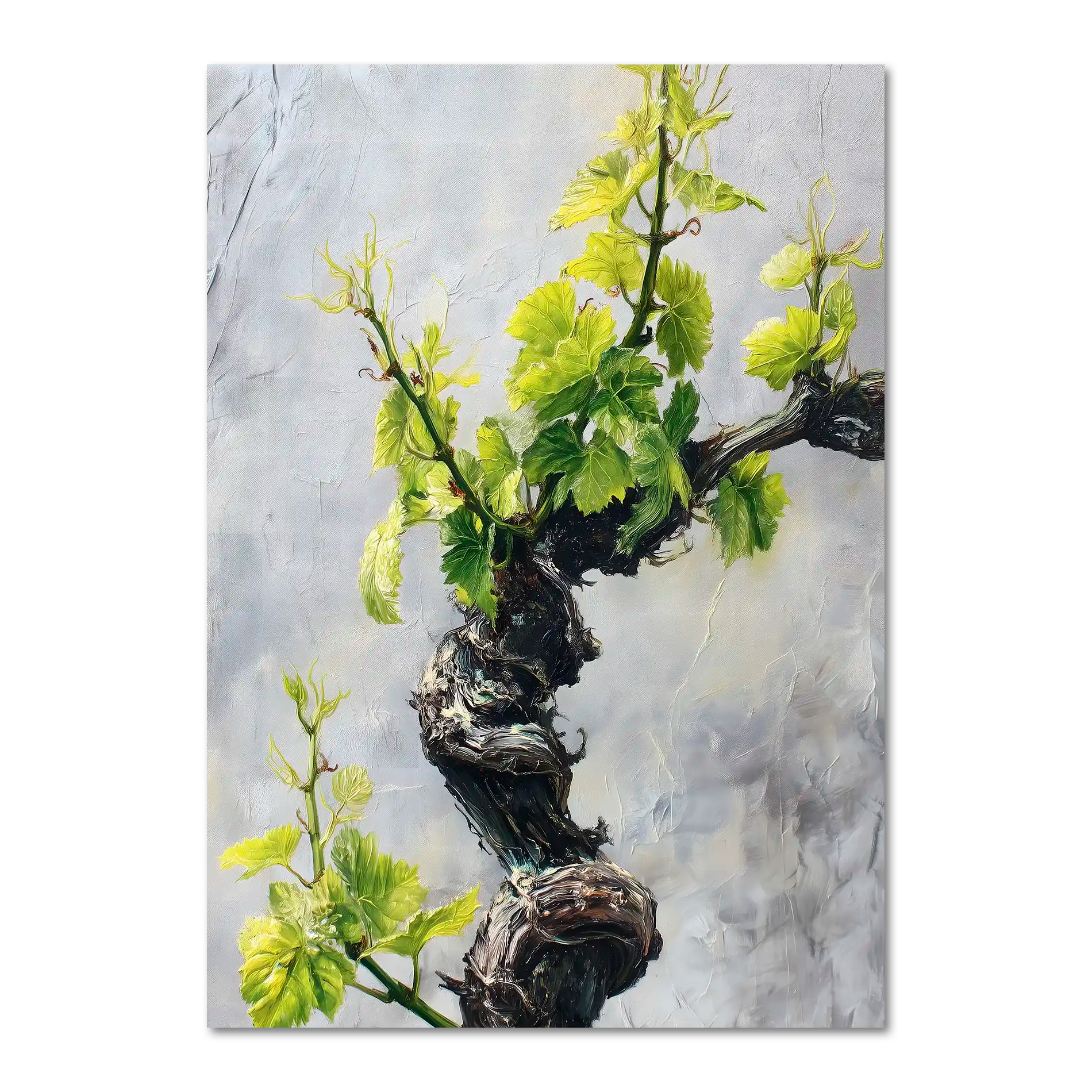 Vine Awakening, Alpine Wall - Poster featuring a twisted alpine vine with fresh green leaves on a textured stone wall.