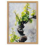 Vine Awakening, Alpine Wall - Poster showcasing twisted vine with fresh green leaves on a textured backdrop.