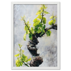 Vine Awakening, Alpine Wall - Poster featuring twisted vine and bright green leaves on a textured background.