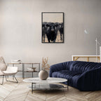Wagyu Leader - Poster showcasing powerful black cattle in modern minimalist interior, featuring wall art on Alu-Dibond.