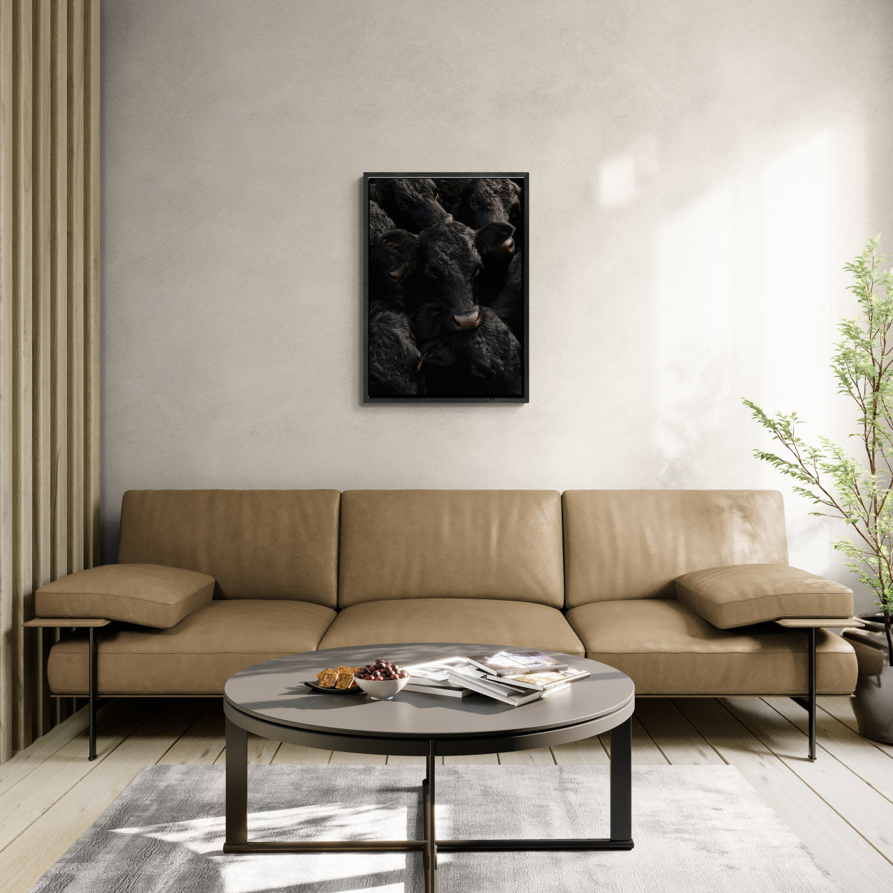 Wagyu Proximity - Poster featuring black Wagyu cattle in modern interior setting, wall art on Alu-Dibond.