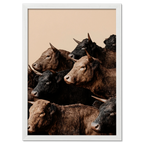 Wagyu Rhythm - Poster featuring a herd of horned Wagyu cattle standing against a beige backdrop.