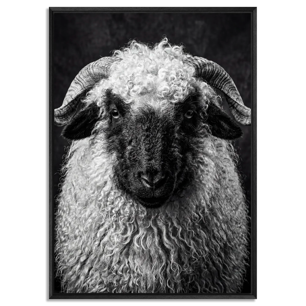 Whimsy of a Valais Sheep artwork featuring Alpine Wall Art, framed in a black floater frame.