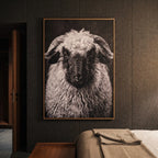 Whimsy of a Valais Sheep