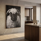 Whimsy of a Valais Sheep