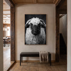Whimsy of a Valais Sheep