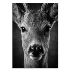 Close-up of young red deer artwork titled Wonder of a Deer, showcasing alpine wall art details.
